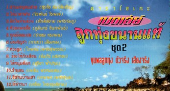 คาราโอเกะ - เมดเลย์ลูกทุ่งขนานแท้ ชุดที่ 2 VCD1735-WEB2